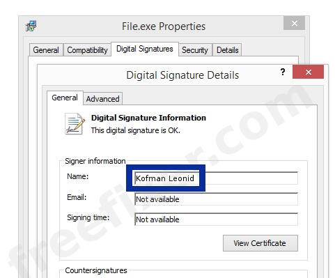Screenshot of the Kofman Leonid certificate